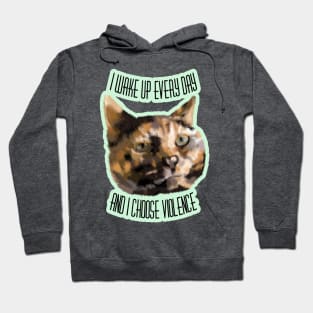 Torties Are Always Trouble Hoodie